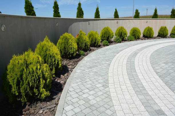 Best Commercial Driveway Pavers  in Valley Center, CA